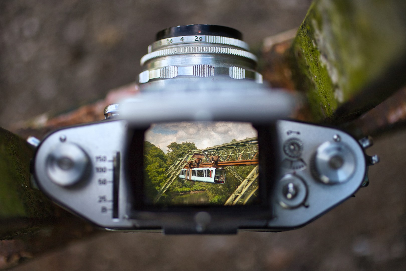 1. Platz Cedric Lutterkordt klein (Groß)